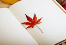 Ansia da rientro? 5 classici per affrontare il post-vacanza