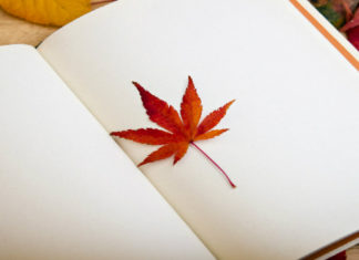 Ansia da rientro? 5 classici per affrontare il post-vacanza