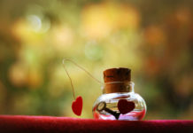 Intervista a Tiziana Iaccarino, autrice di “Come miele sul cuore”