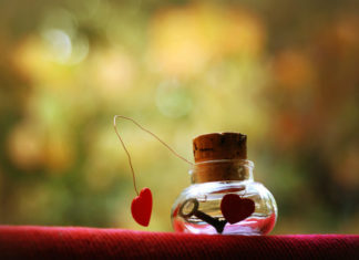 Intervista a Tiziana Iaccarino, autrice di “Come miele sul cuore”