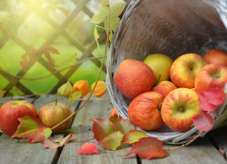 CONSIGLI DI LETTURA DAI 5 ANNI | Tre libri per conoscere l’autunno