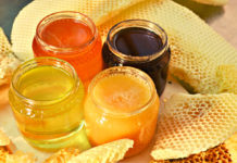 Una carica di energia: produzione, componenti e proprietà del miele