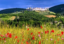 “Il fioraio di Monteriggioni”: un giallo-romance ambientato nelle colline toscane