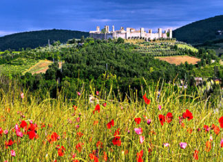 “Il fioraio di Monteriggioni”: un giallo-romance ambientato nelle colline toscane