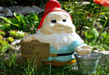 Itinerari di viaggio: 4 parchi da non perdere in Olanda