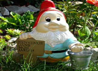 Itinerari di viaggio: 4 parchi da non perdere in Olanda