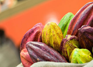 Salon du Chocolat: torna a Milano l’evento più amato dai golosi