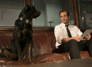 “Show dogs – Entriamo in scena”: quando il cinema fa anche del bene