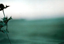 Ti ho visto, Luca Favaro