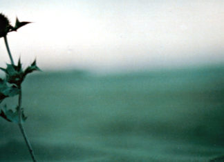 Ti ho visto, Luca Favaro