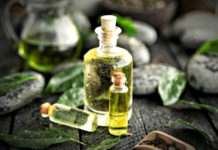 Tea tree: un olio essenziale dalle molteplici proprietà