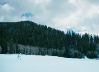 “Wind River”: thriller e dramma nell’esordio alla regia di Taylor Sheridan