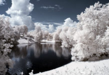 Libri per tutte le stagioni: nove storie per l’inverno