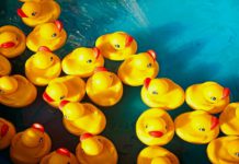 “L’arte di restare a galla”: recensione del romanzo di Valentina Ferrari