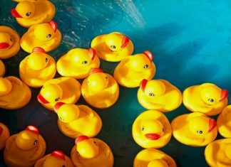 “L’arte di restare a galla”: recensione del romanzo di Valentina Ferrari