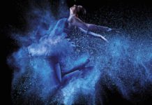 “Il cigno d’argento”: recensione del romanzo di Amo Jones