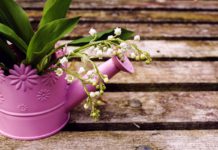 Cosa leggere a maggio? I consigli della Direttora (bis)