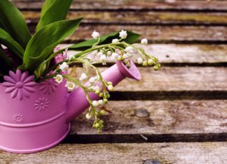 Cosa leggere a maggio? I consigli della Direttora (bis)