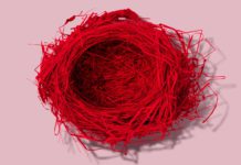 Giornate degli Autori: il programma dell’edizione 2021 della rassegna