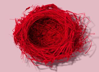 Giornate degli autori 2021: il rumeno “Imaculat” è il miglior film