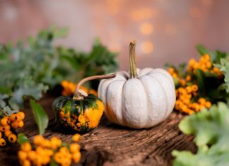 Cosa leggere a novembre? I consigli della Direttora