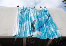 Cartoline da Cannes 2022: di viaggi in auto, ritorni alla normalità e caos