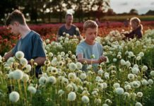 “Close”: bullismo e accettazione di sé in una storia toccante e universale