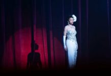 “Gli Stati Uniti contro Billie Holiday”: la ballata di una donna, di una guerriera