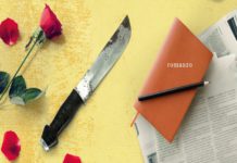 “Nove giorni e mezzo”: recensione del romanzo di Sandra Bonzi