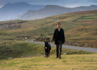 “Gli spiriti dell’isola”: un film surreale e tragicomico, sicuramente ispirato