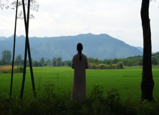 “Hidden letters”: un viaggio nelle lingua segreta delle donne cinesi