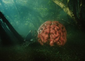 “Rumors”: una dark comedy che irride potenti e relazioni tra governi