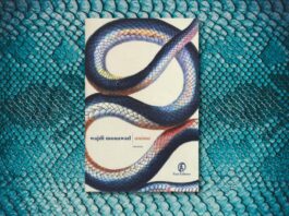 Copertina del libro Anima di Wajdi Mouawad.